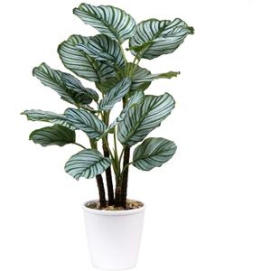24.8" Artificial Plants Calatheas Orbifolia Goeppertia Orbifolia Plant Tropical Faux Green Plant Arrangement in Pot for Home Garden Office Decoration (Type #5)