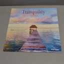 Tranquility 2026 12 X 24 Inch (Hanging) Monthly Square Wall Calendar Plastic-Free