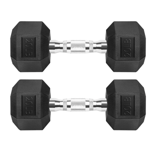 Hex Dumbbells Rubber Coated Cast Iron Hex Black Dumbbell Free Weights for Exercises 20 Pounds/Pair