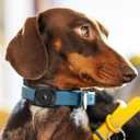2 x Airtag Dog Collar Holder, [2 Pack], Waterproof Protective Case for Apple AirTag, Durable & Lightweight with Full-Body Protection, Soft Silicone, Black