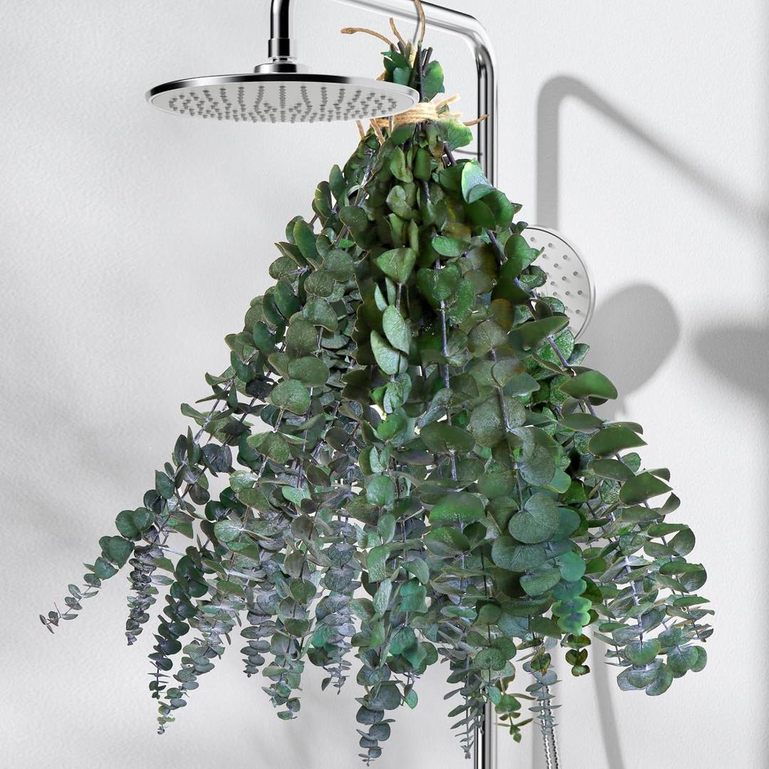 20Pcs Dried Eucalyptus for Shower Hanging-17''Preserved Real Fresh Eucalyptus Stems for Green Home Decor,100%Made from Fresh Eucalyptu Leaves Plant,Bathroom Shower Decor,Wedding Decor