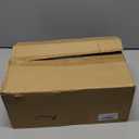 6 Pcs Ocean Stemless Wine Glasses Sea Beach Turtle Starfish Sea Conch Seashore Glassware Bottle Glass Cute No Stem Drinking Glassware for Women Men Christmas Birthday Wine Lovers Gifts