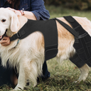 Pawfun Dog Knee Brace for Torn ACL Hind Leg, 122-XL-8