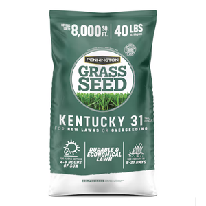 Pennington Kentucky 31 40-lb Tall Fescue Grass Seed