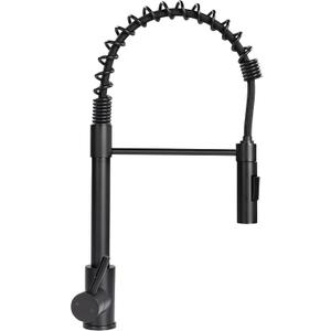 Lippert Flow Max Coiled Pull Down Kitchen Faucet for RVs and Residential,2021090598