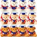 Zomiboo Graduation Bears Class of 2025 Mini Grad Bear Stuffed Animal 3.54 Inches with Cap Preschool Graduation Gifts Bulk Tiny Detachable Plush Keychain DIY Party Favors(Blue Cap)