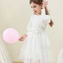 Toddler Girl Tulle Dress Puff Long Sleeves Tutu Dresses with Tie Belt for Princess Brithday Party 1-6T