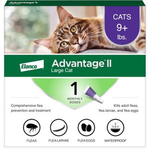 Advantage II Large Cat Vet-Recommended Flea Treatment & Prevention | Cats Over 9 lbs. | 1-Month Supply