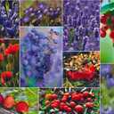 1000 Piece Puzzle for Adults – Collage of Wildflowers, Berries & Mushrooms, Gift-Ready Box, Letters on Back, 8 Jigsaw Puzzle Saver Sheets & Full-Size Poster by GERJATO – Ideal Gift for Loved Ones