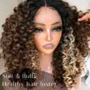 Highlight Skunk Strip Lace Front Wig, 16Inch Pre Plucked Glueless HD Lace Big Curly Wig for Black Women, Framing Highlights Brown Mix Blonde Color