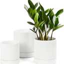 LaDoVita 2 Pack Ceramic Plant Pots 6/5/4 inch, Flowerpot for Indoor Plants with Drainage Holes and Tray, Outdoor Garden Planters, Modern Decorative for Home, White Vertical Stripes
