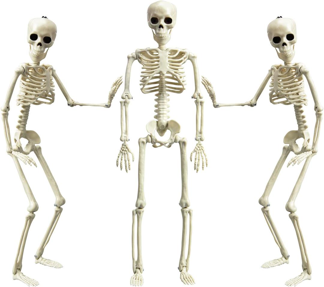 XONOR 16 Posable Halloween Skeleton- Full Body Halloween Skeleton with Movable Joints for Haunted House Props Decorations (3pcs)