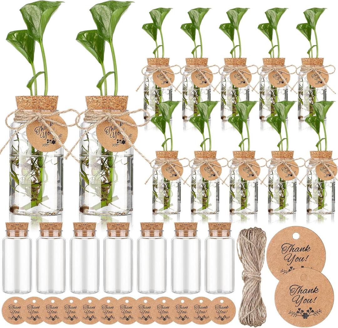 Baderke 24 Pack 3.54'' Plastic Plant Propagation Stations with Hole Lid 4oz Planter Vase Clear Propagation Jars with Thank You Tags for Plant Lover Gifts for Women Office Home Garden