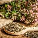 8 x 800+ Seeds Oregano - Herb Green