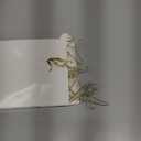 Jenaai 50 Pcs Doll Clothes Hanger 2.56 in Metal Gold Doll Outfit Hanger Mini Clothes Hangers for Wardrobe, Dresses, Skirts, and Accessories