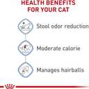 Royal Canin Feline Health Nutrition Indoor Adult Dry Cat Food, 7 lb Bag (EXP 11/02/25)
