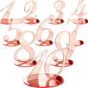 10 Pcs Table Numbers for Wedding 1-10 Reception Wedding Numbers Signs with Holder Elegant Mirror Table Number for Engagement Party Birthday Anniversary Event Catering(Rose Gold)