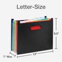 Pendaflex 7-Pocket Expanding File, with Customizable Colored Tabs, Black File Organizer, Portable Expanding File, Accordion File Organizer (52401)