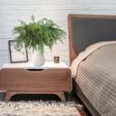 Bdor 30 Pack Artificial Norfolk Pine Sprays  18 Inch Faux Greenery Stems for DIY Christmas Wreaths, Holiday Floral Arrangements, and Seasonal Decor