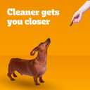 Pedigree Dentastix Small and Toy Breed Dog Treats, Beef Flavor, (7) 24ct Bags (168 Treats Total) (EXP 01/29/27)