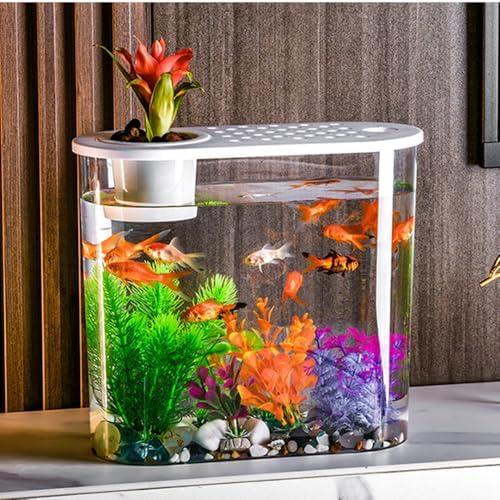 Small Fish Tank 2 Gallon, Desktop Mini Fish Tank, Starter Kits Betta Fish Tank with Decor Stones and Water Grass Decorations for Home or Office