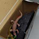 Generic JUKUDAHU Dinosaur Toy with Volcano, Small Trees and Mini Dinosaurs, Green