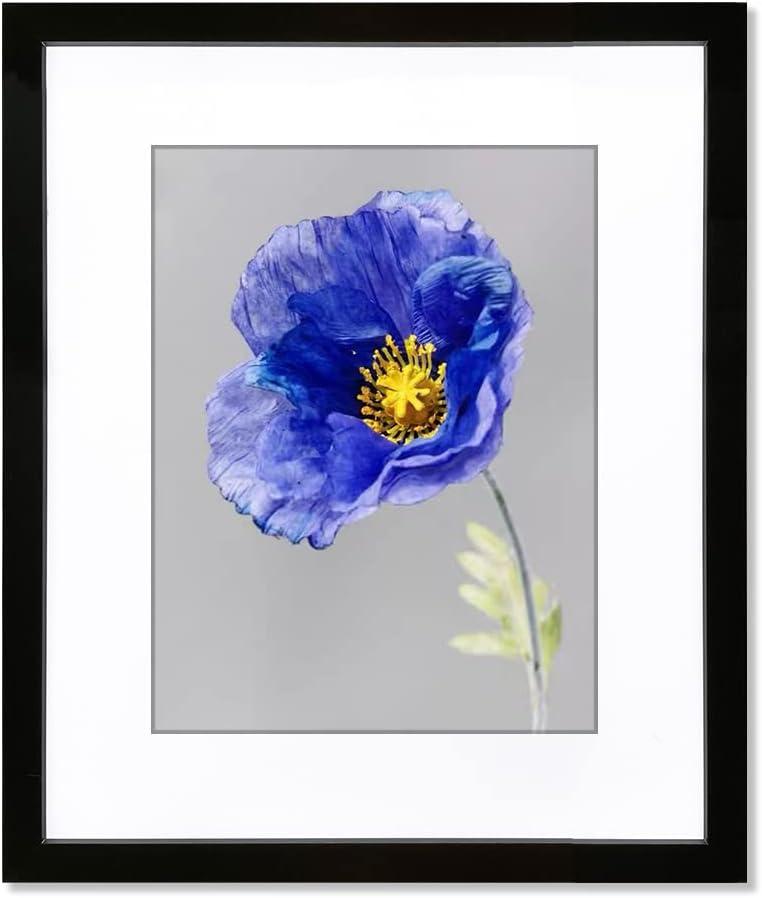 VNVNK 20x24 Frame Black, Perfect for 20x24 Inch Picture without Mat or 16x20 Inch Picture with Mat, Home Wall Decor Picture Frame-1 PCS