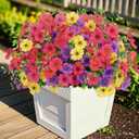 2 x Sahoottie Colorful Artificial Flowers for Outdoors Fake Plastic Flowers 14 Bundles Faux Colorful Daisy Eucalyptus for Outside Porch Patio Garden Decor (4 Mix Colors)