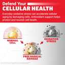 Force Factor Glutathione Longevity & Anti-Aging, Reduced Glutathione Supplement with CoQ10 & PQQ, Master Antioxidant Formula to Support Immune Health, Skin, Cellular Energy & Liver Detox, 60 Capsules (EXP 01/01/29)