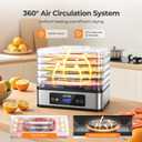 OSTBA Food Dehydrator, 5 Stainless Steel Trays, 400W Powerful Drying, 48H Timer & 95160F Temp Control, Quiet Small Dryer for Jerky, Fruits, Herbs, Mushrooms, BPA-Free, Recipes Included