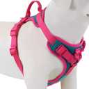 Wolfone No Pull Dog Harness Adjustable Soft Padded Pet Vest with Control Handle Adorable Daily Harness for Dogs Viridian Green XL Neck21-33, Chest25-38)