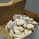 Wettarn 50 Sets Small Tiny Plush Bear Bulk 4.72 Inch Mini Stuffed Animals Small Bear Party Favors with Thank You Tags and Mesh Bags for DIY Keychain Birthday (White)