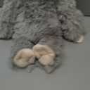 Heatable & Coolable Sloth Stuffed Animals, Cute Microwavable Heating Pad Plushies for Soothing & Relaxation, Sloths Plush Toys, Stuffed Sloth Gifts Decor