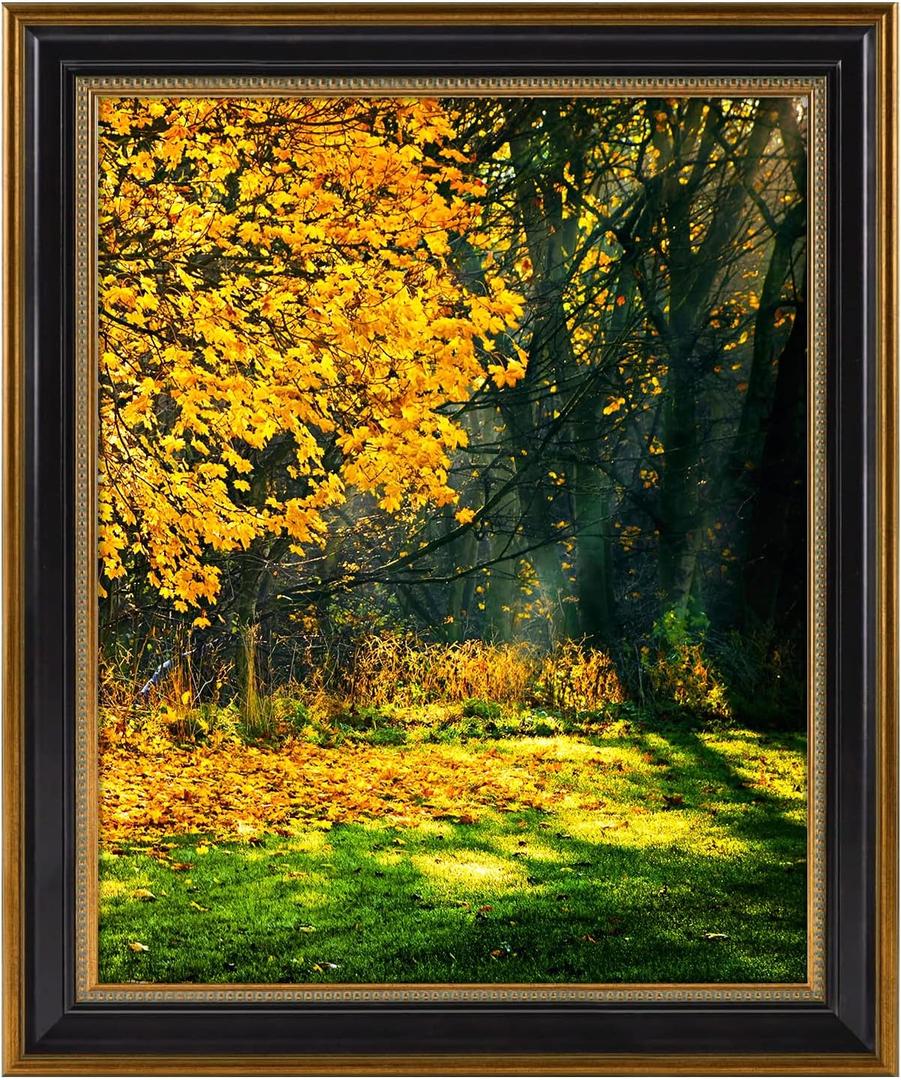 16x20 Picture Frame for 16 x 20 Poster/Photo/Print, Shatter-Resistant Real Glass Wall Display (Black and Ornate Gold Design, 1-Pack)