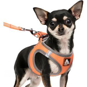 Dog Harness Medium Sized Dogs, Puppy Harness and Leash Set for Training, Running, Walking, Suitable for Small and Medium Dog Vest, Orange, M
