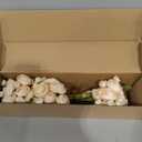 Letjolt Ranunculus Artificial Flower Light Champagne Silk Flowers Faux DIY Bouquet for Wedding Engagement Centerpieces Arrangements Bridal Shower Decorations Home Decor 18pcs