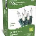 Holiday Home 100 LED Mini Lights - Warm White (Green Wire) Pack of 2