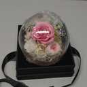 Preserved Flowers for Mom - Preserved Pink Roses in Glass Dome with LED Light for Girlfriend, Eternal Real Flowers for Women, Unique Long-Lasting Gift to Celebrate Christmas (Prime Delivery)
