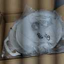 Amazon Basics Enameled Cast Iron Dutch Oven Pot with Lid, Round, Dual Handles, Heavy-Duty, Oven Safe for Stews, Roasting, Baking, 6-Quart, Matte White