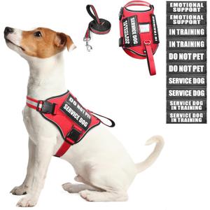 Service Dog Harness and Leash Set, Training Dog Vest with 10 Dog Patches, Emotional Support Therapy Dog Vest Harness for Small Medium Large and Extra Large Dogs (Red, S)