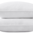 White 100% Polyester Pillow 20in. x 28in.
