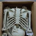 Halloween Skeleton Decorations,5.4FT Posable Human Skeleton Decorations for Halloween Party Decor, Haunted House Props Indoor Outdoor Decoration