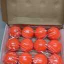 Champion Sports Field Hockey Balls – NFHS Approved, High-Visibility Regulation Balls, 12-Pack, 2.75"D