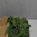 6 Ft Christmas Garland with Lights, 30 Warm Lights with 8 Light Modes,Prelit Christmas Garland with Pine Cones,Lighted Garland, Ceadr Garlands RealisticOutdoor Garland with Lights (Green)