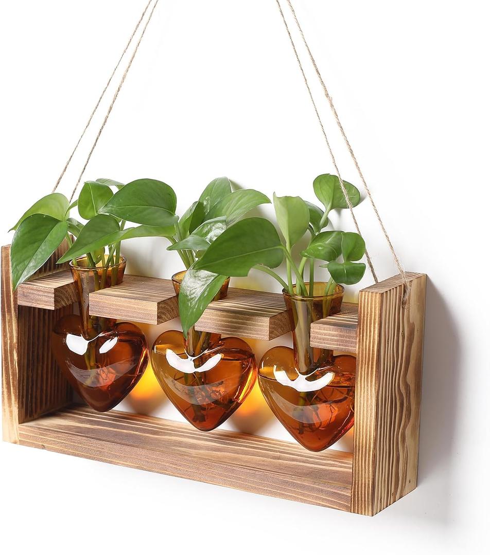 Plant Terrarium Propagation Stations Hydroponics Home Garden Decoration Gift for Women with Wooden Stand Heart Shaped Colored Glass Vase (Amber)