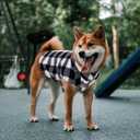 ASENKU Dog Sweater, Plaid Fleece Dogs Vest, Soft Warm Pet Clothes, Cold Weather Puppy Jacket, Comfortable Pullover Shirt for Tiny & Small Dog Breeds Only (Large)