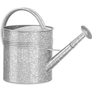 Galvanized Iron Watering Can for Indoor Plants, Oval Watering Cans for House Plant Garden Flower, Long Spout Water Can for Outdoor Watering Plants 9.46L 2.5 Gallon