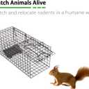 Live Squirrel Trap Heavy Duty Humane Animal Cage Trap (No Assembly Required)