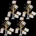 Retisee 4 Pieces Money Tree Gift Card Holder with 12 Clips & 24 LED Lighted Tips 2 FT White Birch Money Tree for Cash Memo Photo Picture Tabletop Display Christmas Birthday Party Wedding Gifts