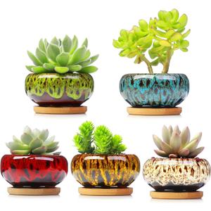 Cute Ceramic Succulent Garden Pots, Planter with Drainage and Attached Saucer, Set of 5 -Plants Not Included (Vivid Colors)